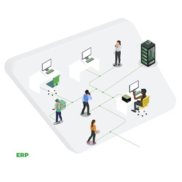 ERP Bronze With 8 Mbps