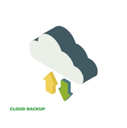 Hourly Backup